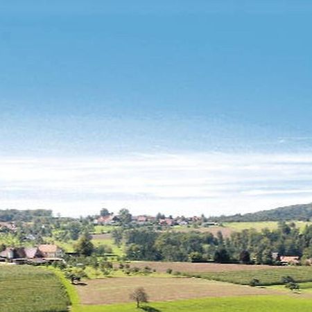 Gasthaus Pension Heidhof Freiamt Екстериор снимка